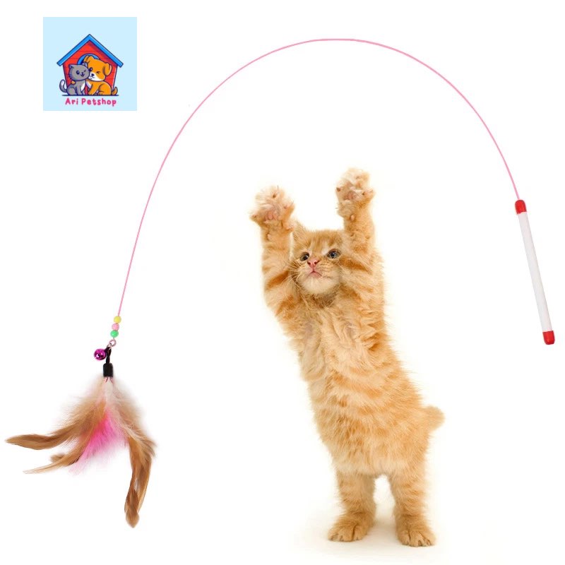 Đồ chơi cho mèo - Cần câu mèo lông vũ