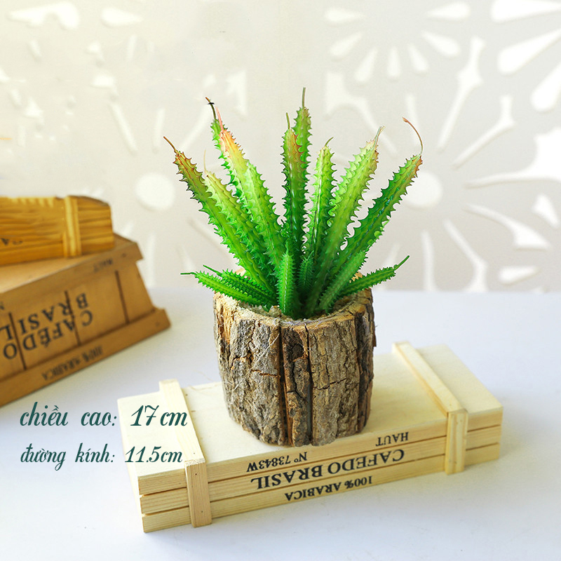 Cây giả - Chậu Sen đá Cổ Thụ (cả cây và chậu)