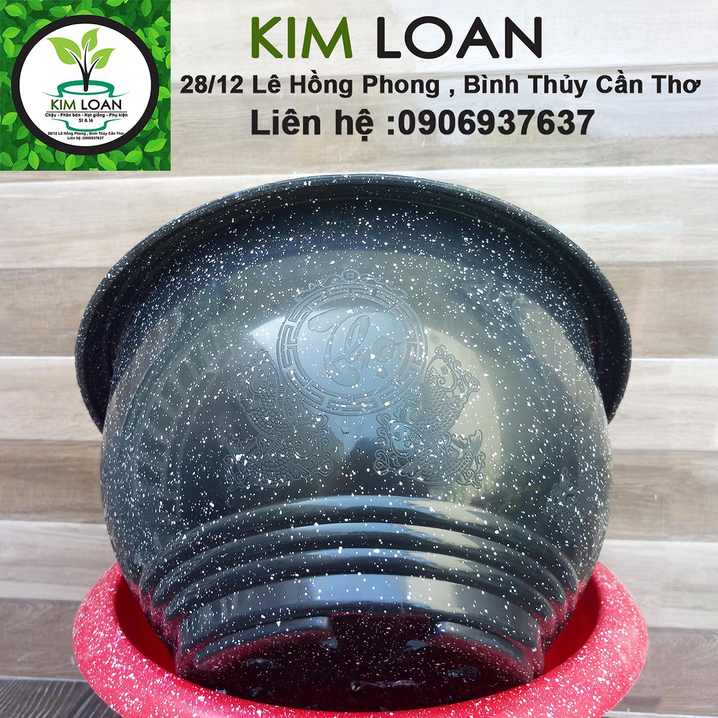 Combo 4 chậu tròn vân đá Cát Tường 35x20cm