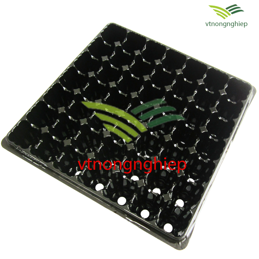 5 Khay nhựa ươm cây 49 lỗ ươm