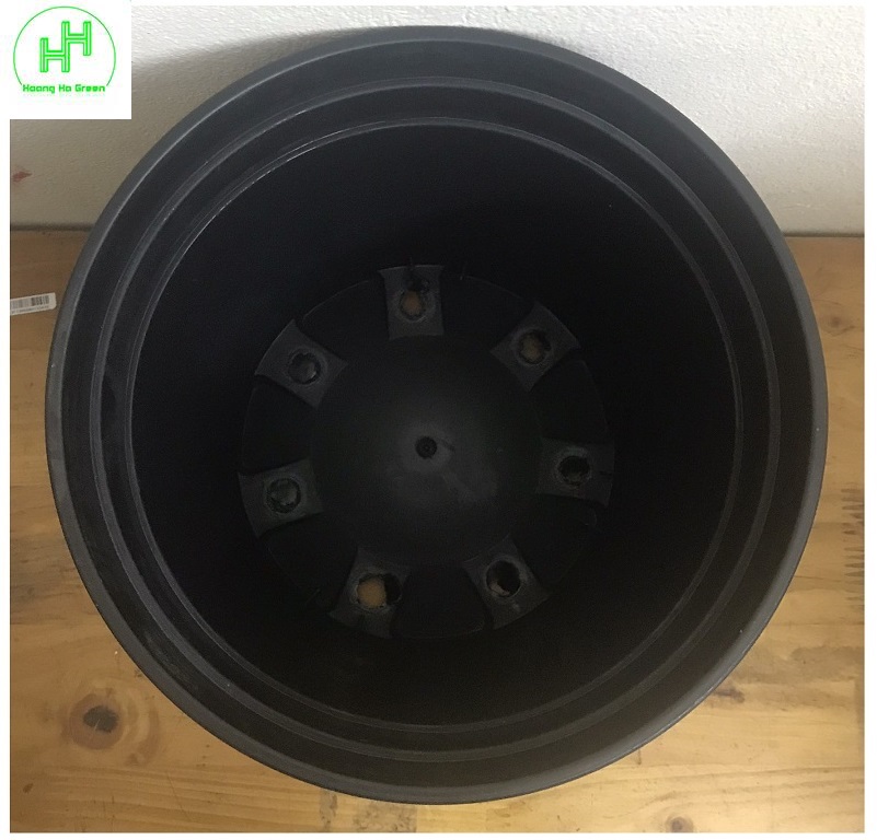3 Chậu MONROVIA CH Garden 2Gal