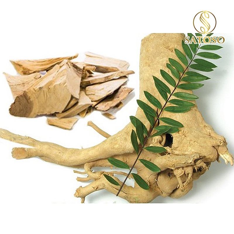 Rễ Mật Nhân thượng hạng SATOSO 1kg