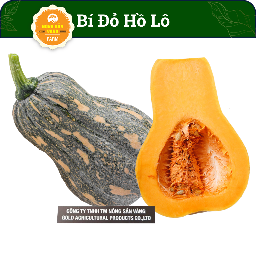 Seeds pumpkin barbarians watch lots of beautiful eyes for false fruit, seeds germination good, suitable with climate Vietnam -shallow gold
