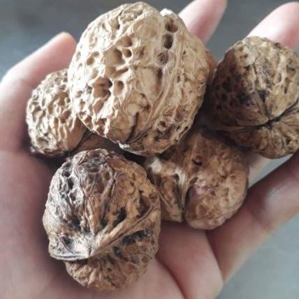 1kg hạt óc chó