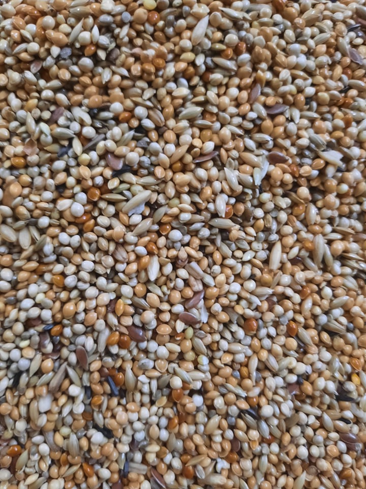 1kg hạt trộn cho yến phụng, parolet