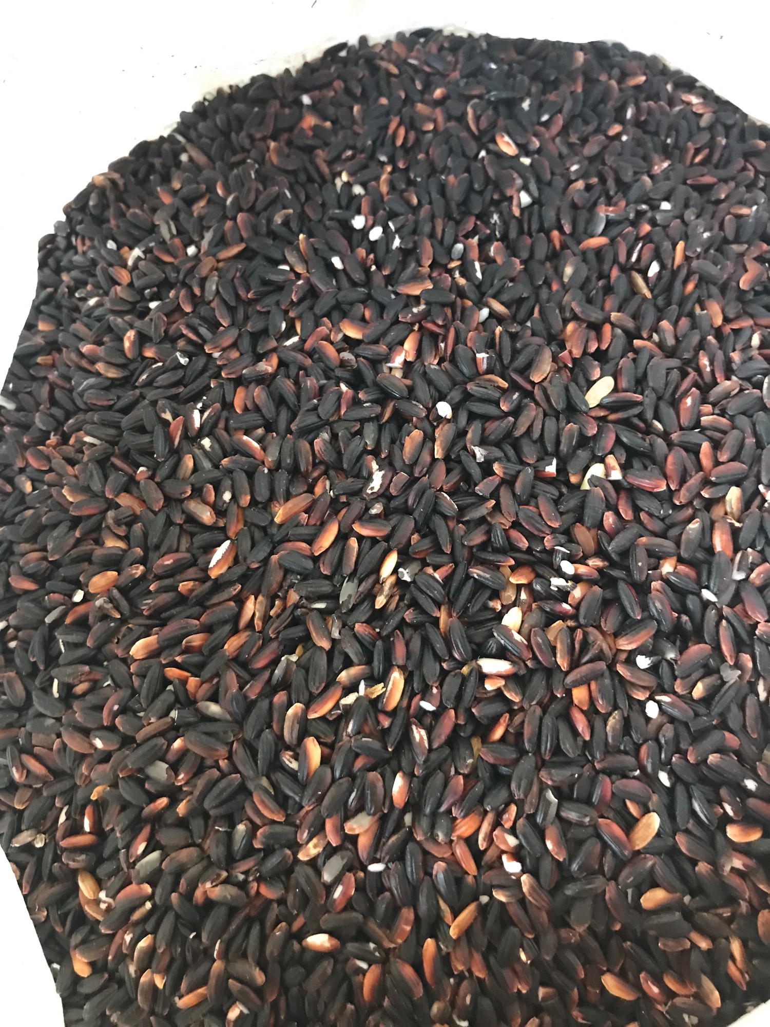 Gạo cẩm nếp nương biên (5kg)