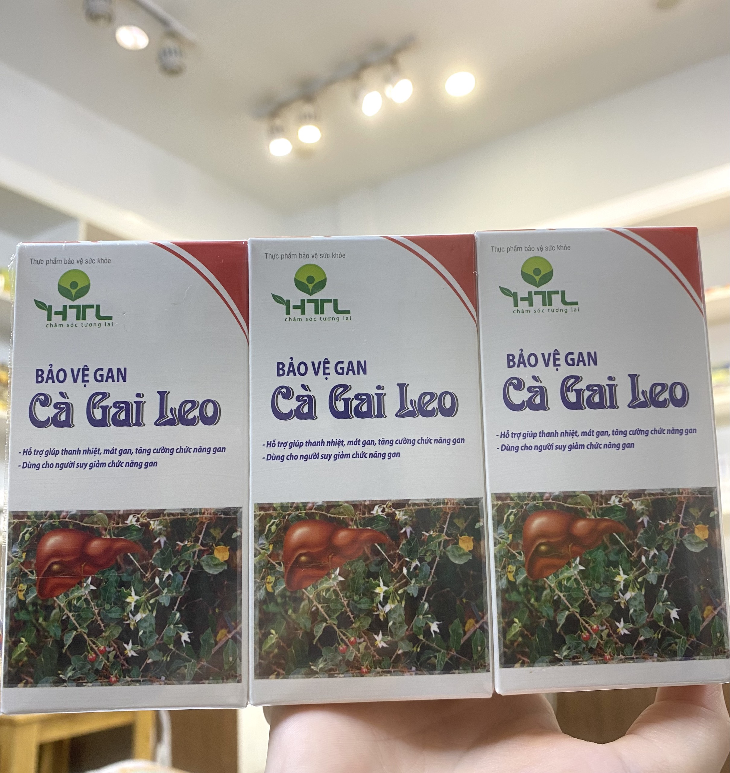 Bảo Vệ Gan Cà Gai Leo