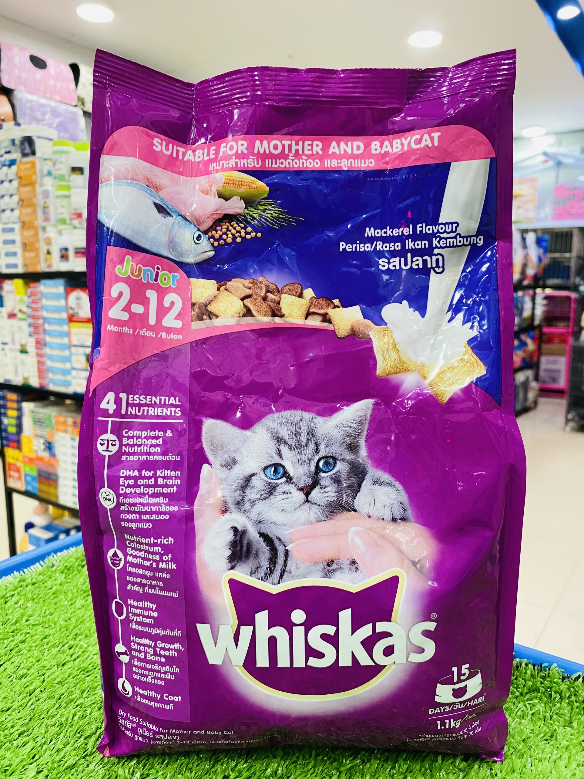 Thức ăn hạt Whiskas Junior cho mèo con dưới 12 tháng tuổi