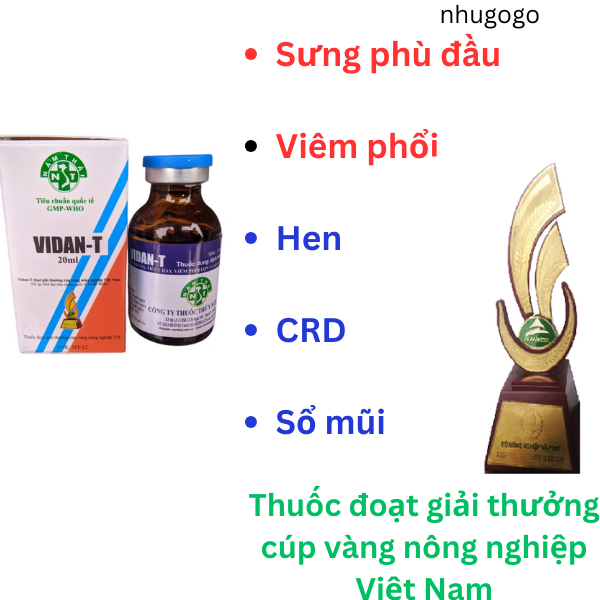 Vidan T qui cách chai `100ml sưng phù đầu, hen khẹc, gà bị tiêu chảy