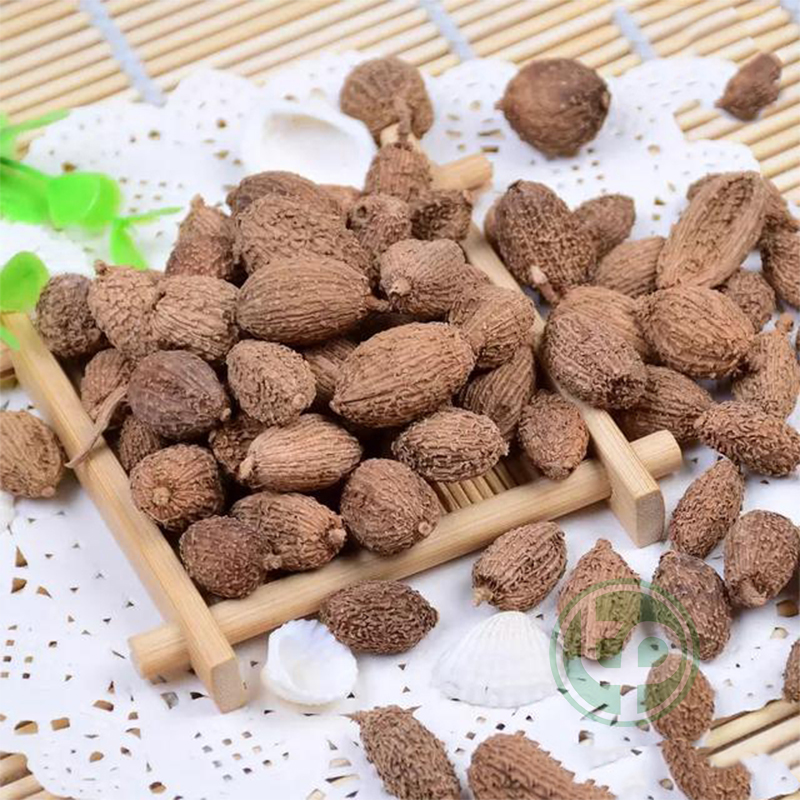 Quả sa nhân sấy khô 100g - Tấn phát - hỗ trợ cải thiện khả năng hô hấp cực kỳ hiệu quả