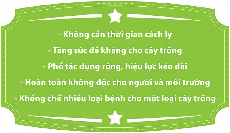 [HCM]CHẾ PHẨM TRỪ SÂU SINH HỌC EXIN 2.0 SC (SAT)