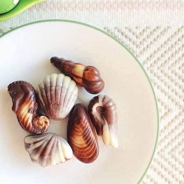 SOCOLA VOBRO FRUTTI DI MARE 94g - HÀNG BALAN
