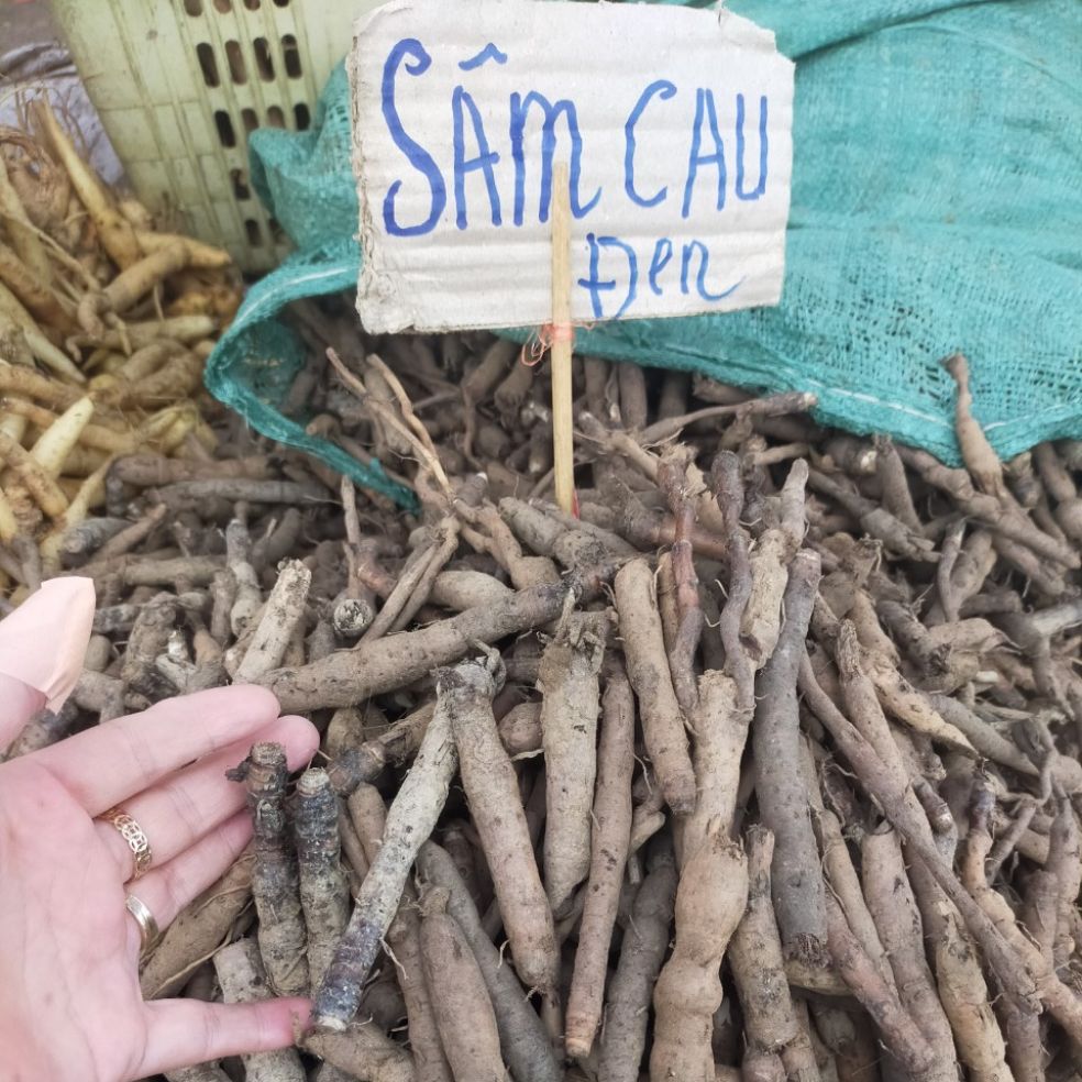 Sâm Cau Đen (Sâm Tiên Mao 1Kg)