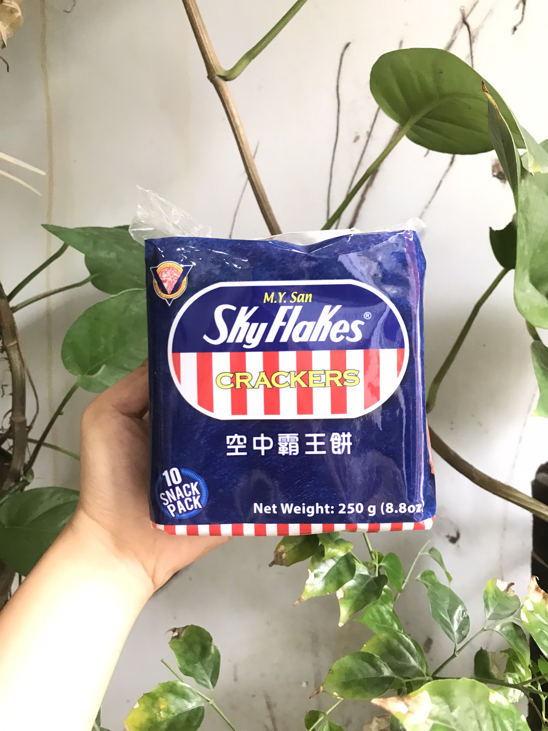 Bánh Quy Ăn Kiêng Sky Flakes Crackers (Gói 250g)