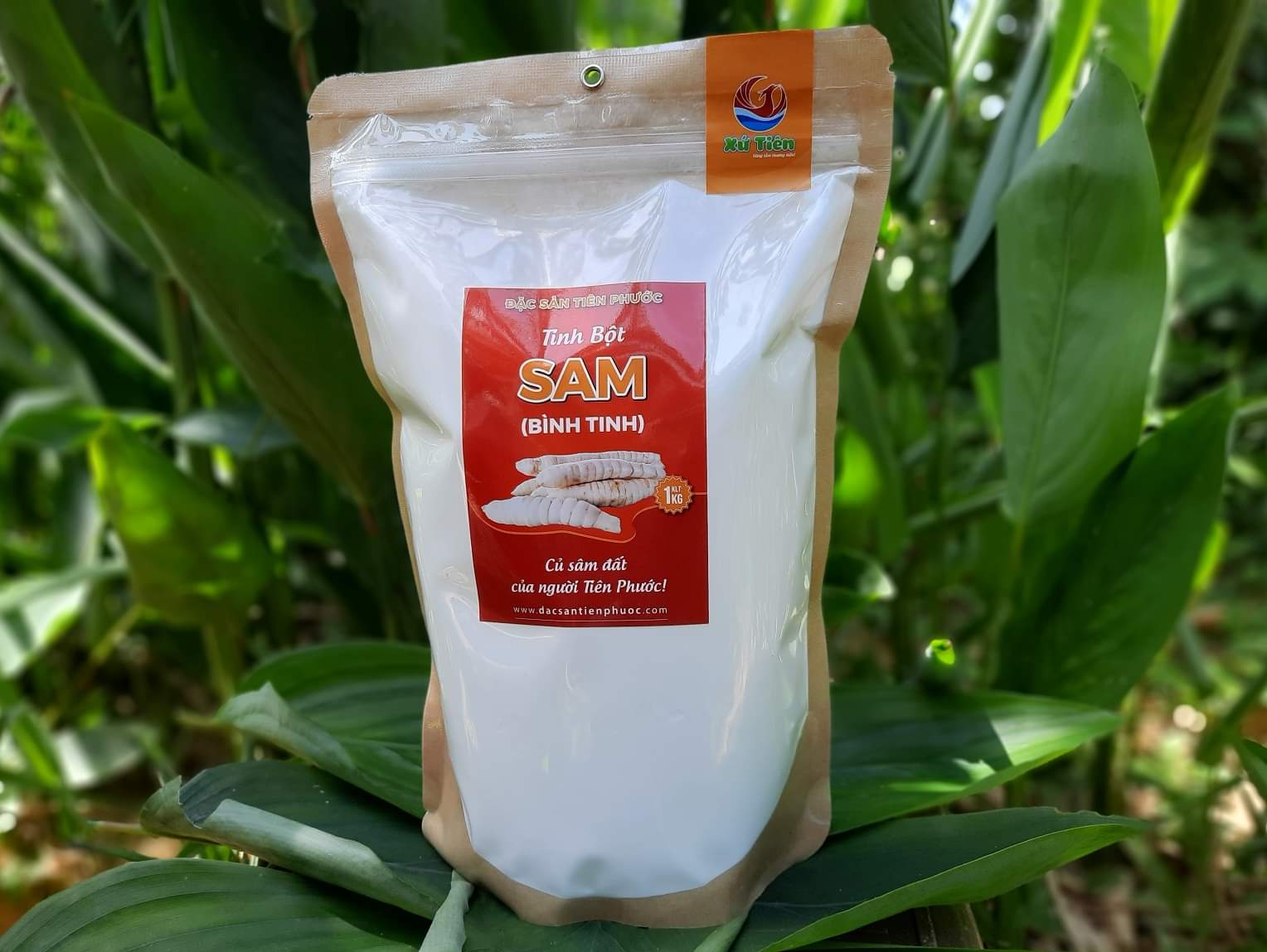 tinh bột Sam, tinh bột bình Tinh nguyên chất, đặc sản Xứ Tiên