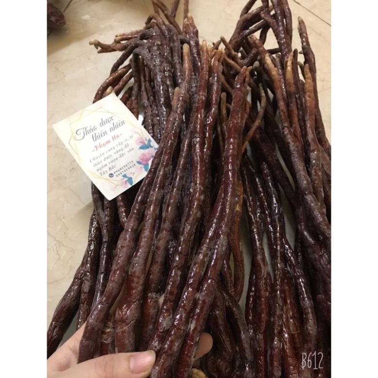 NẤM LINH CHI SỪNG HƯƠU 100g
