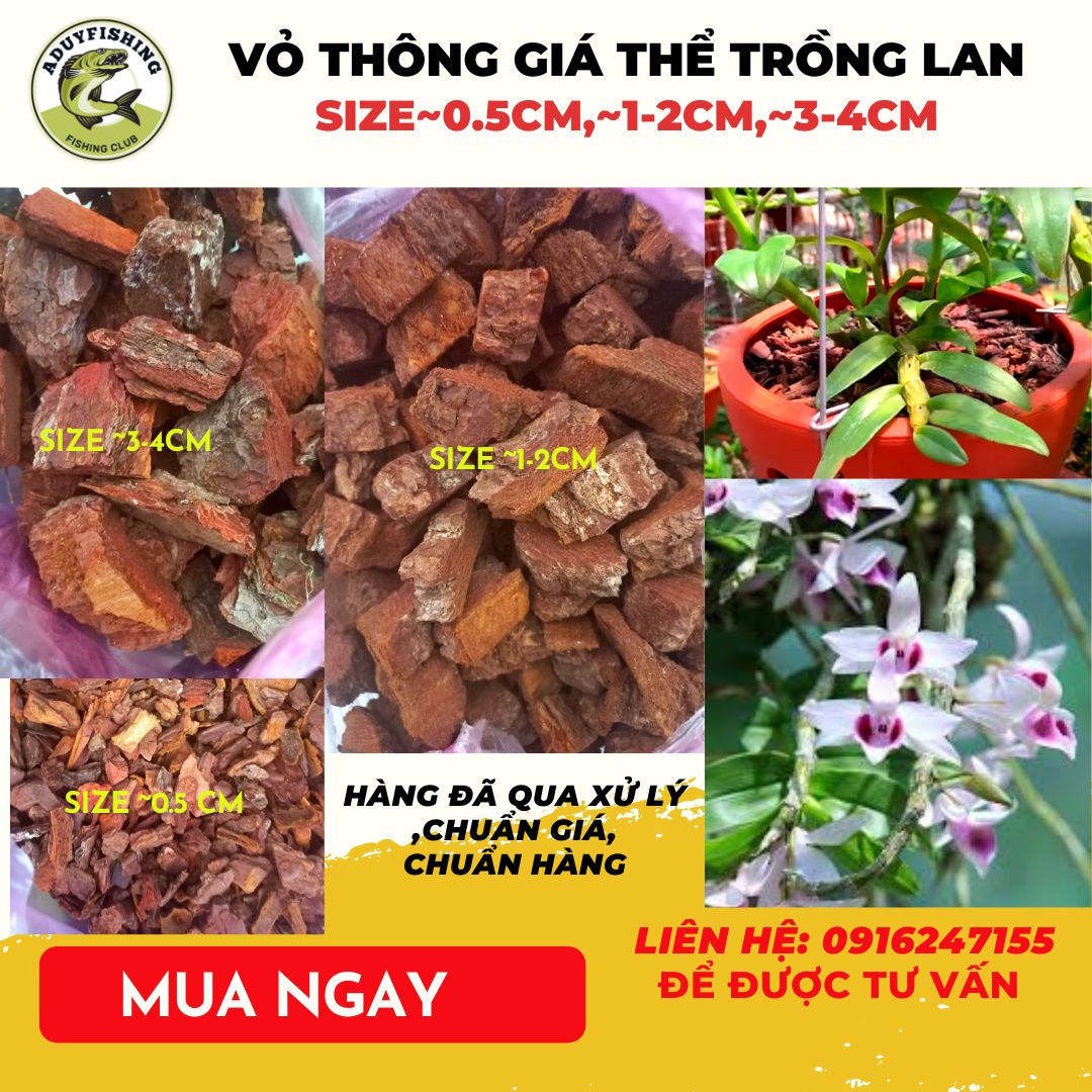 Vỏ thông trồng lan loại đẹp Đã Xử Lý size 3x4cm 1x2cm 0.5 cm