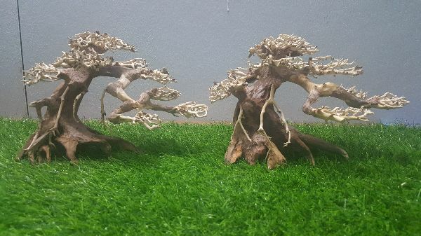 Lũa bonsai cấy rêu ôm đá(N 17- C10)