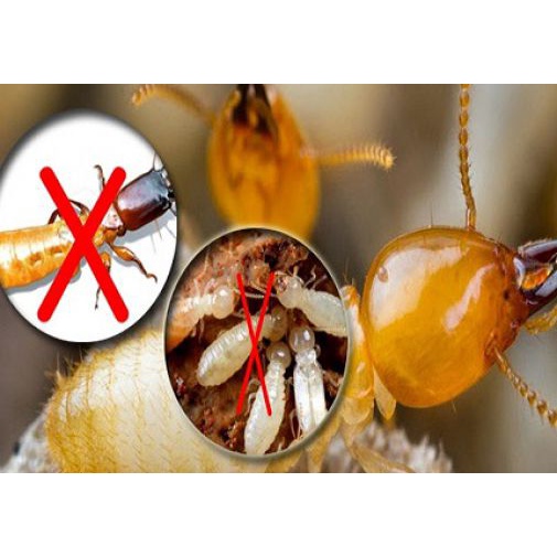 Hanpet - Thuốc diệt mối dạng xịt tiện dụng ( 410) Sifa