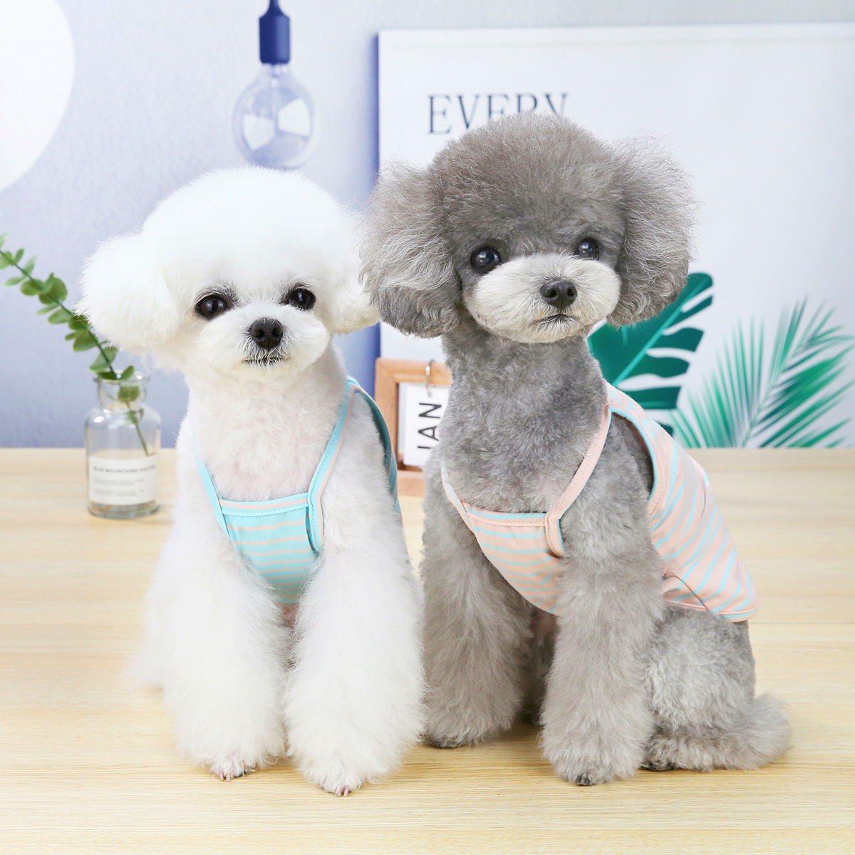 áo 2 dây DADAGOU sọc ngang cho chó mèo - T3 PETS SHOP