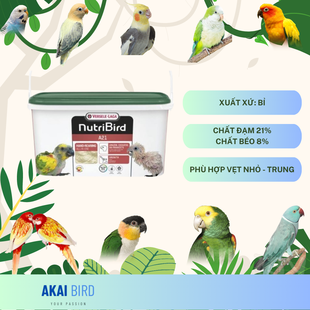 [100Gr] Bột A19 / A21 / Kaytee Dành Cho Vẹt Non...