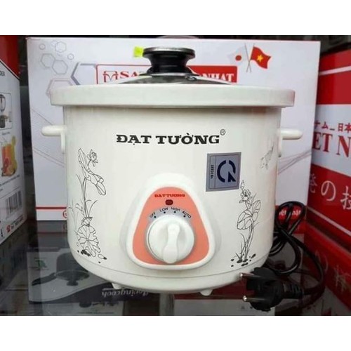 Nồi Kho Cá, hầm chậm 2.5Lit Đạt Tường