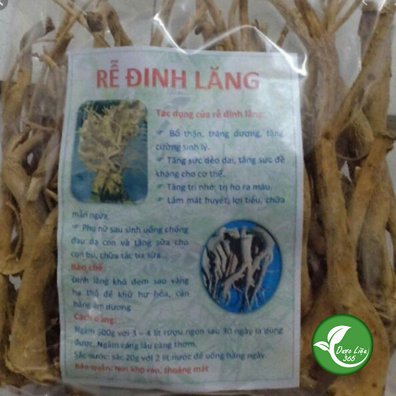 Rễ Đinh Lăng (1Kg khô) - DL049
