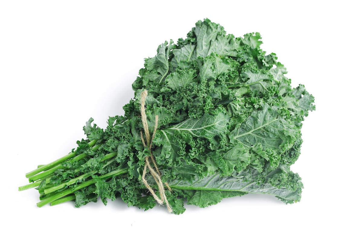 Hạt Giống Cải Xoăn Kale Trồng Quanh Năm, Năng Suất Cao Thu Hoạch Liên Tục