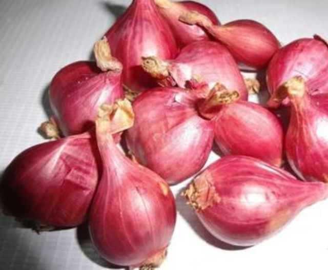 Bột quế/gừng/tỏi/hành tím/riềng 50g