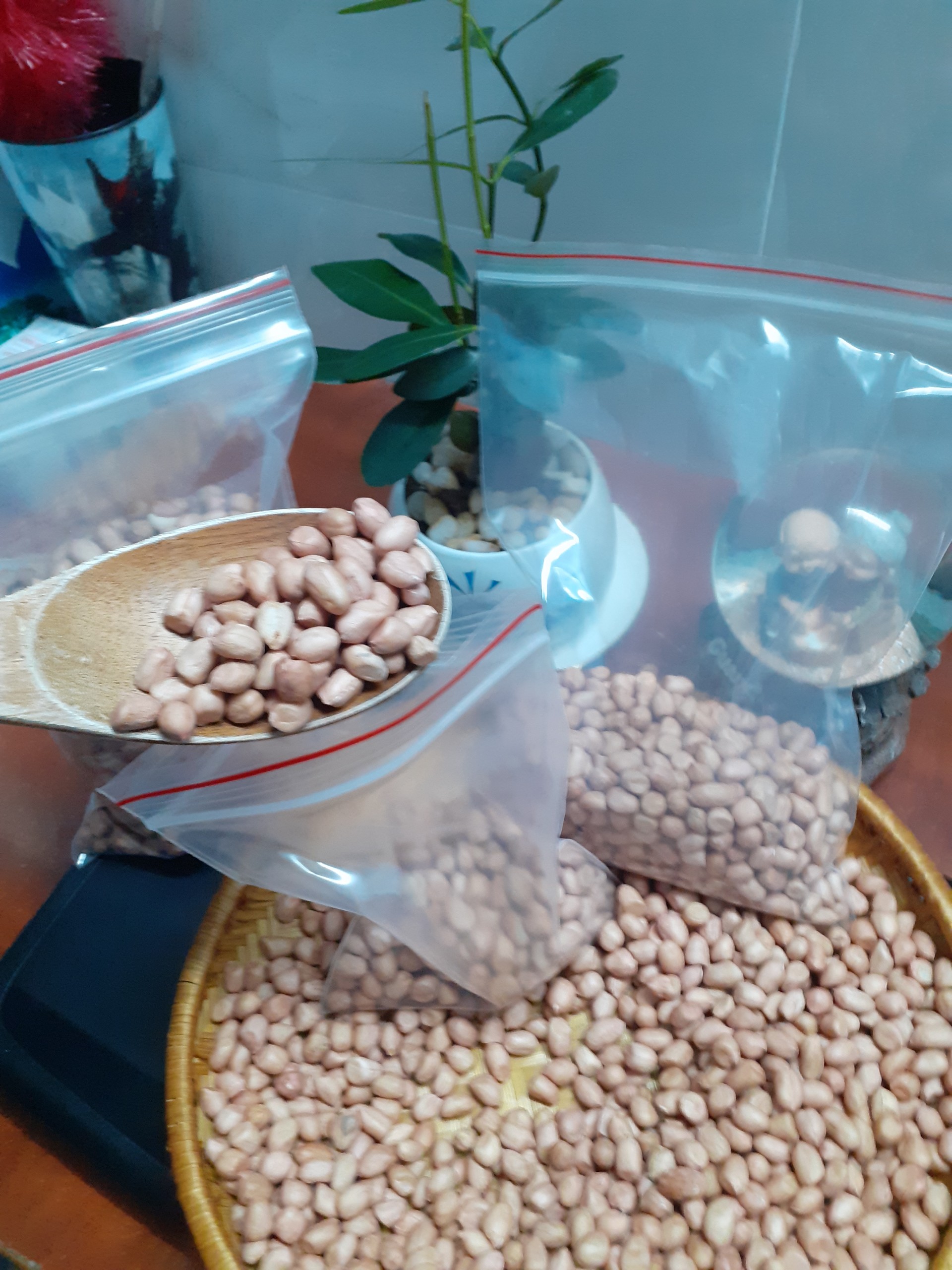 đậu phộng quê hương (hạt lạc sống)