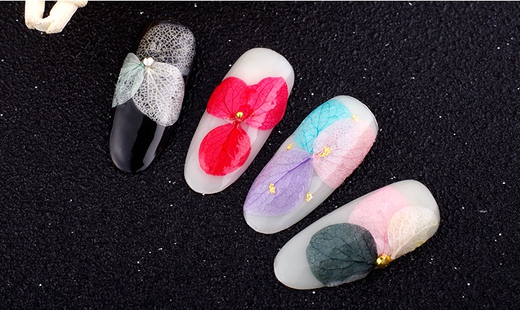 Hoa khô nail trang trí móng cánh to 12 màu