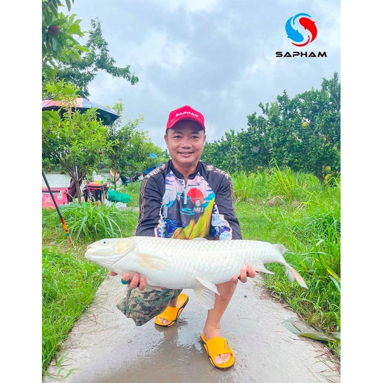 Nước xanh sa phạm, mồi câu trắm cỏ sa phạm