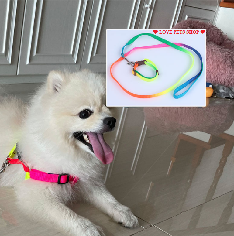 Bộ dây dắt bản dẹp kèm yếm và vòng cổ cho Chó Mèo nhỏ dưới 4kg - Love Pets Shop