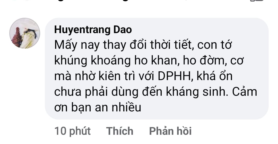 Dầu Phong Hoàn Hảo 50ml