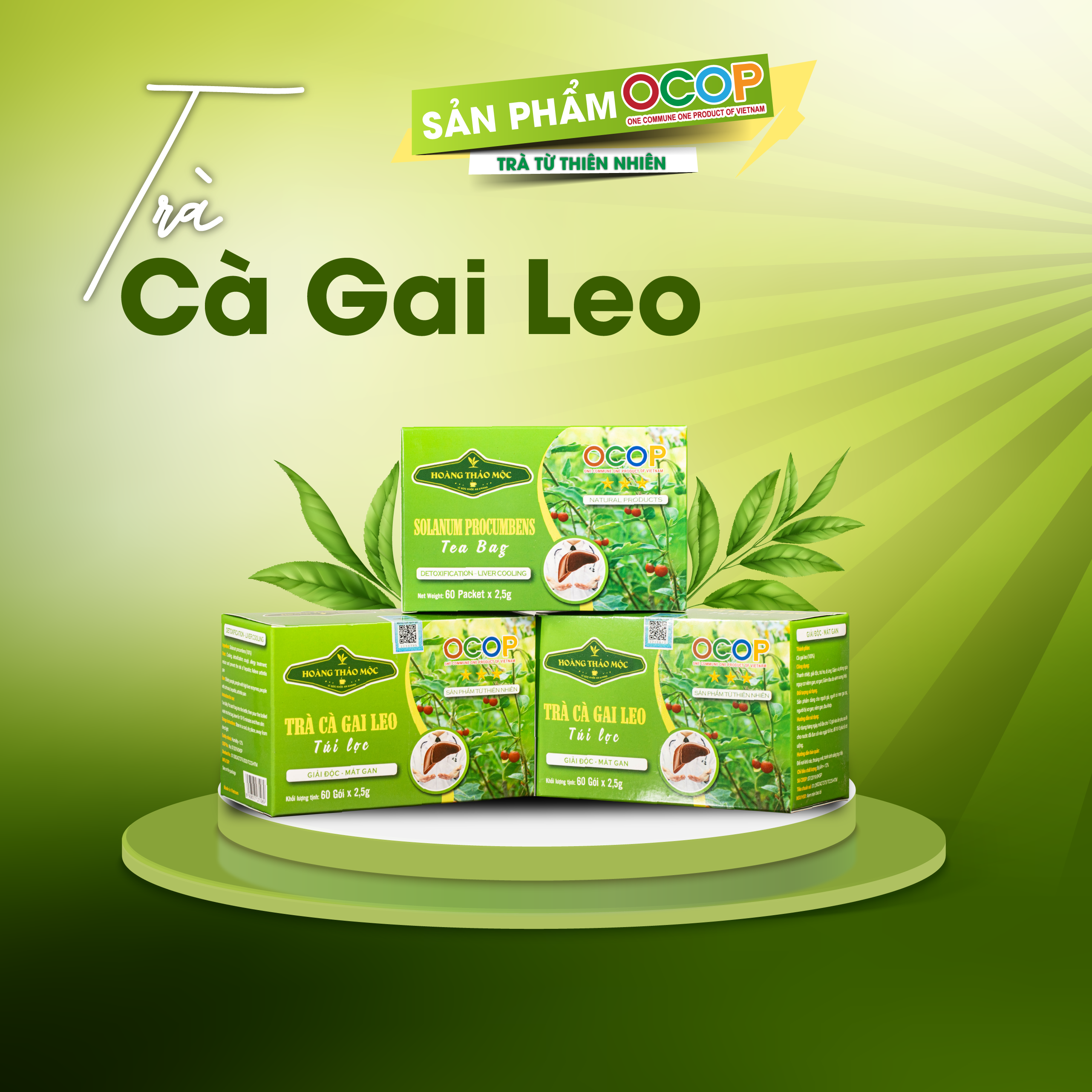 Trà cà gai leo túi lọc GIẢI ĐỘC GAN