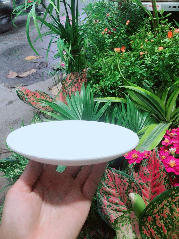 Đĩa Lót Chậu (đường kính 17cm)