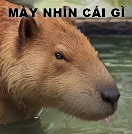 wall decoration flower art