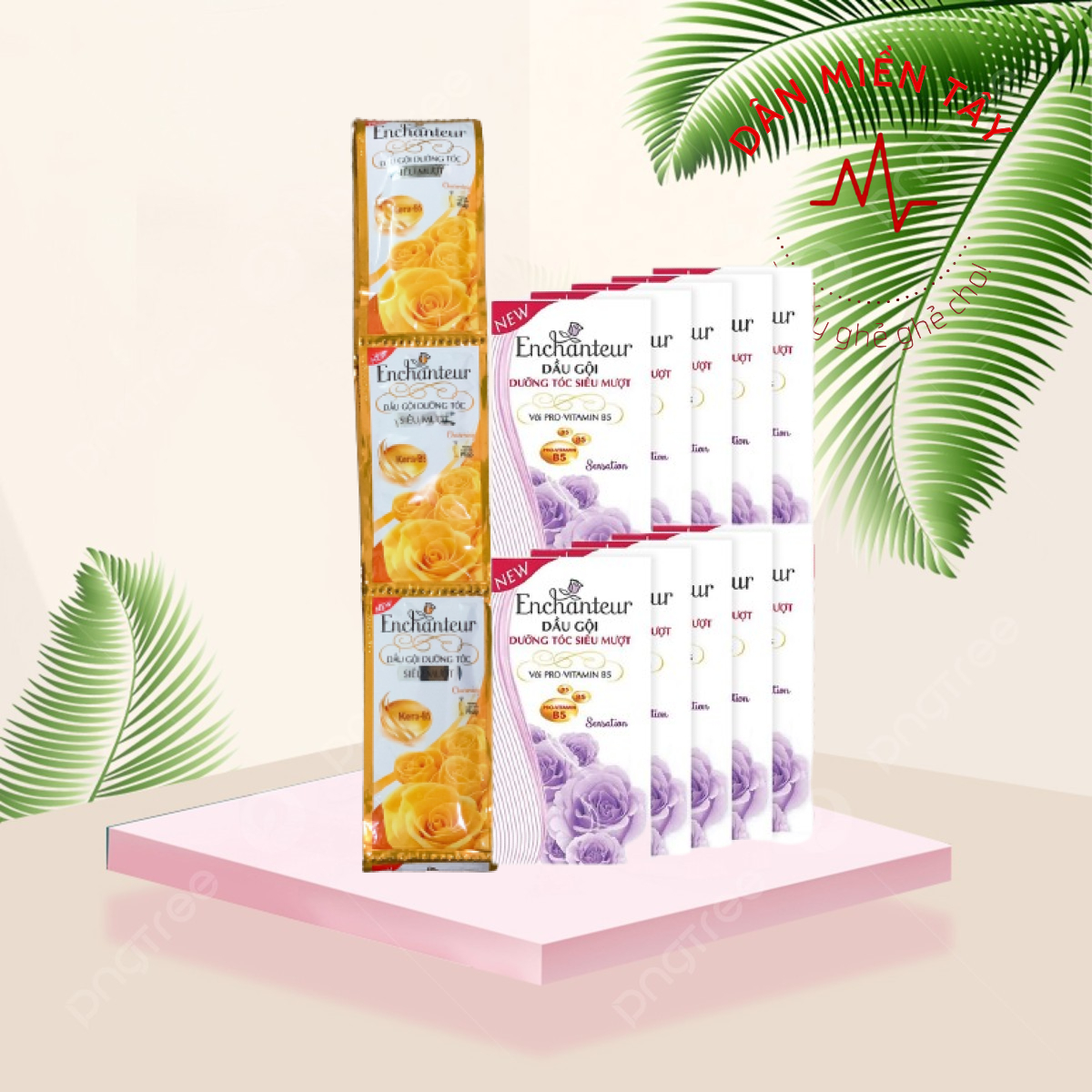 DÂY DẦU GỘI ENCHANTEUR
