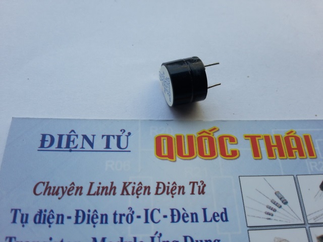 Combo 2 còi chip điện áp 5v