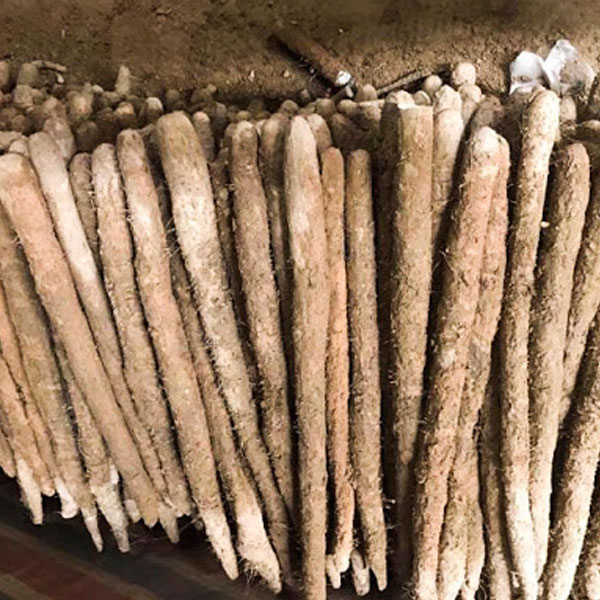 [HCM]1kg củ hoài sơn - Củ mài