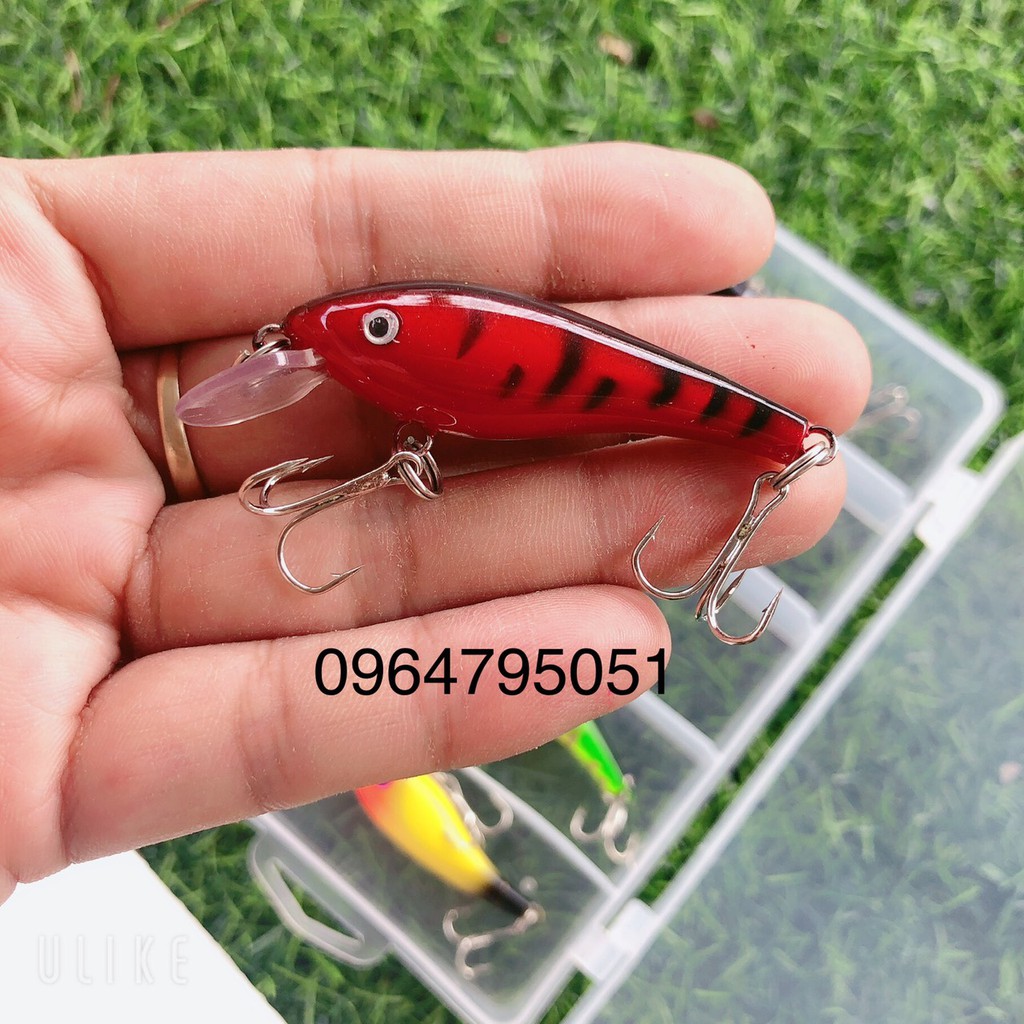 hộp mồi câu lure giả 5 con cá  (cam kết đổi trả trong 2 tuần đầu)