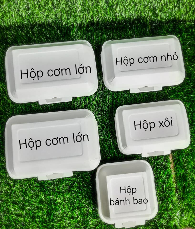 [HCM] 50 cái Hộp cơm giấy