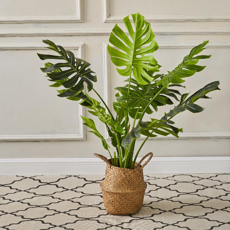 Cây Monstera giả 110 cm