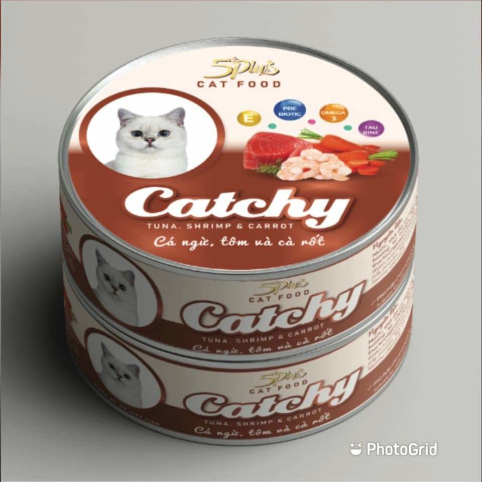 Pate mèo Catchy 5Plus dạng lon 170gram - CThanhpetshop