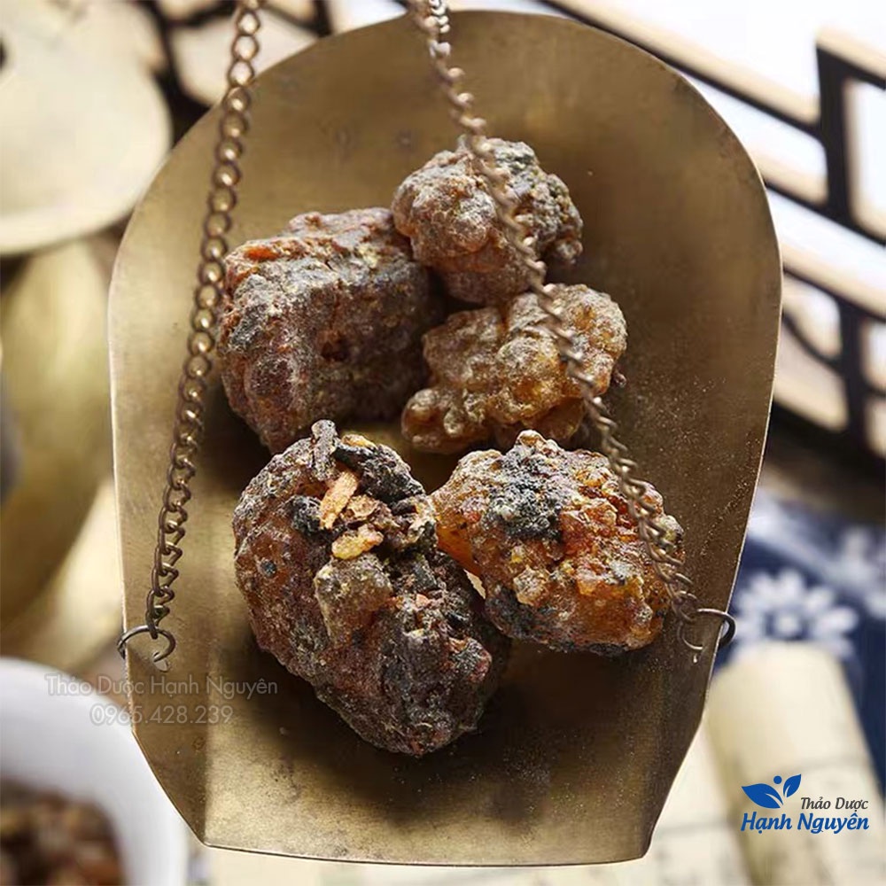 Một dược 100g (Mộc dược) - Thảo Dược Hạnh Nguyên