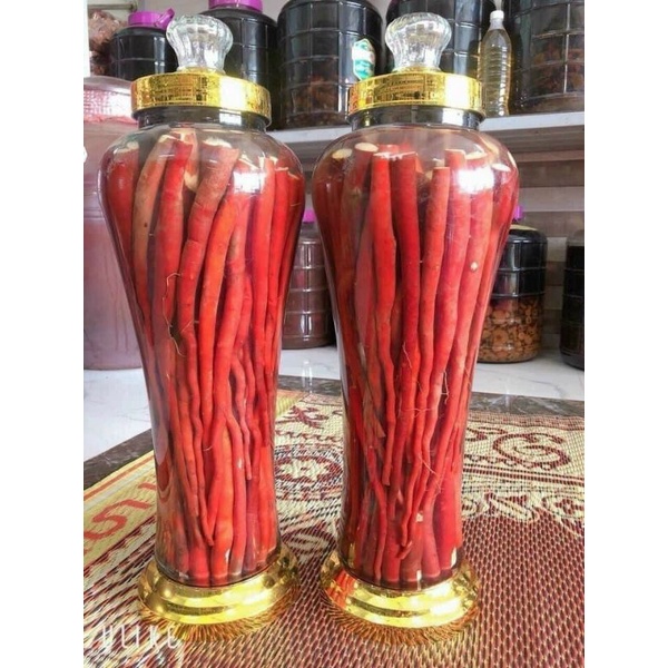 SÂM CAU ĐỎ 1kg tốt cho sức khỏe