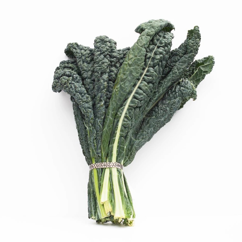 Hạt Giống Cây Cải Xoăn Kale Laci Ý (Kale Khủng Long) Chịu Nhiệt, Thu Hoạch Kéo Dài