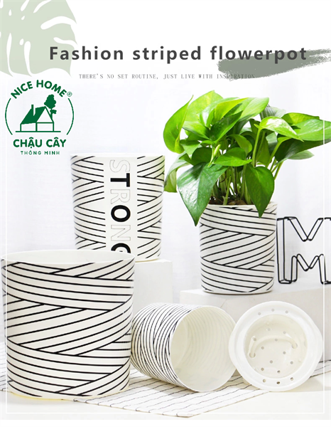 Chậu cây tự dưỡng thông minh- TA05 Stripe