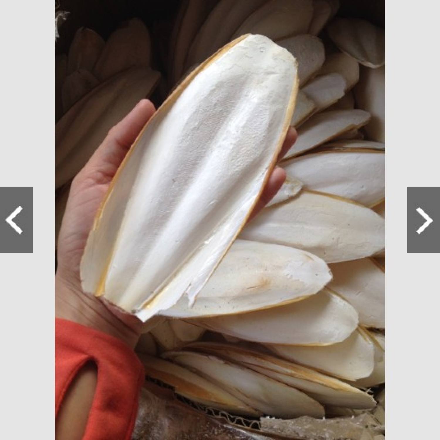 Nang mực { mai mực} 100g