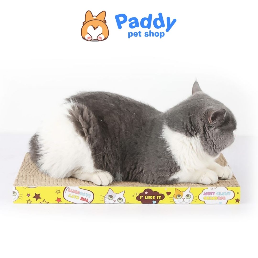 Bàn Cào Móng Mèo Giấy (Tặng Cỏ Mèo Catnip)